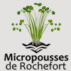 Logo Micropousses