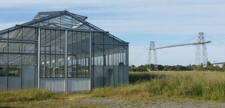 Image carte de visite serre pont grande taille