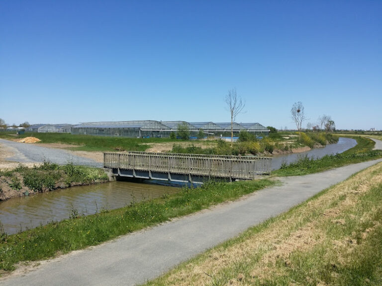 Serres ext chemin charente