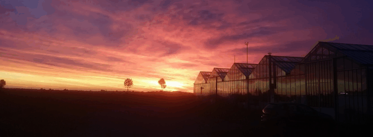 lever soleil facade serre v2