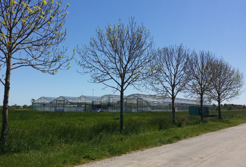 vue ensemble serre exterieur